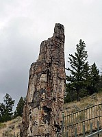 Yellowstone Tower Roosevelt (41).JPG